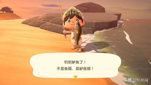 星露谷物语鲟鱼时间（星露谷物语鲟鱼鱼塘任务）缩略图游戏资讯